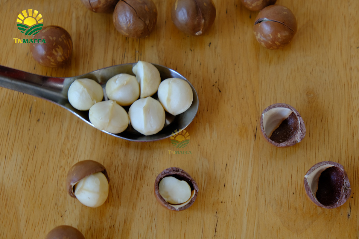 Hạt macca có tốt cho bà bầu và 4 tác dụng của macca với bà bầu